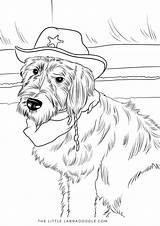 Sheriff Labradoodle Dog sketch template