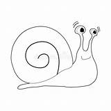 Gemakkelijke Jonge Geitjes Dieren Snail Konijn Slak Turtle sketch template