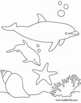 Dolphin Print Color Coloring Popular Pages sketch template