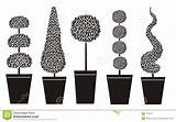 Topiary sketch template