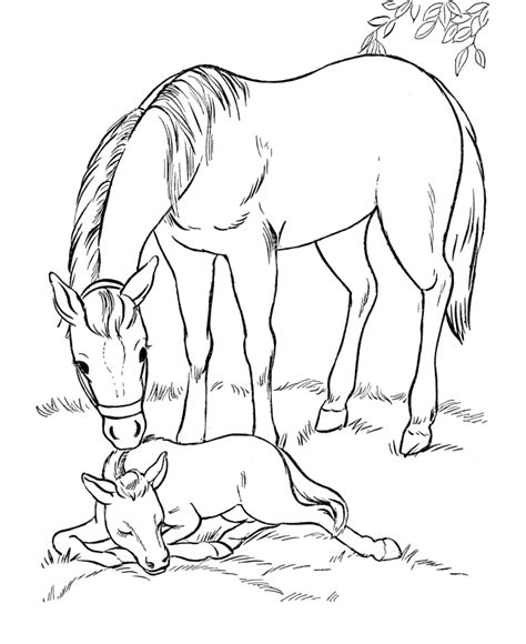 horses coloring page coloring page  kidsfree coloring coloring home