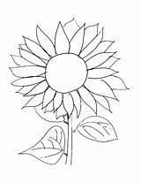Sunflower Coloring Pages Easy Template Van Sunflowers Gogh Drawing Kids Printable Print Line Simple Color Flower Flowers Drawn Garden Adults sketch template