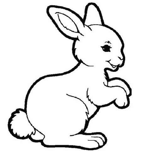 premium templates bunny coloring pages rabbit coloring pages