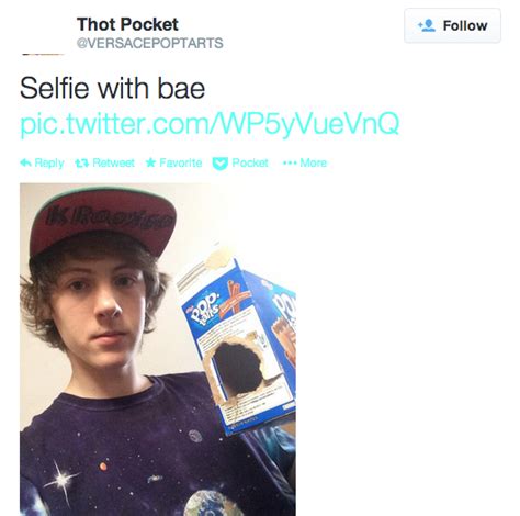 a dude who had sex with a hot pocket is now a twitter folk