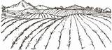Farm Field Drawing Sketch Agriculture Farmer Illustration Drawings Sketches Branch Monochrome Angle Transparent Paintingvalley sketch template