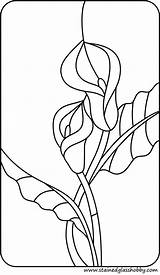 Glass Lily Calla Patterns Stained Coloring Pages Printable Flowers Lilies Designs Lillies Getdrawings Quilt Templates Windows Sheets Flower Visit Choose sketch template