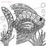Fish Coloring Pages Intricate Tropical Kids Print Coloringkids Template sketch template