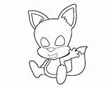 Fox Little Coloring Coloringcrew sketch template