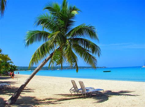 16 Atracciones Turísticas Mejor Calificadas En Jamaica ️todo Sobre