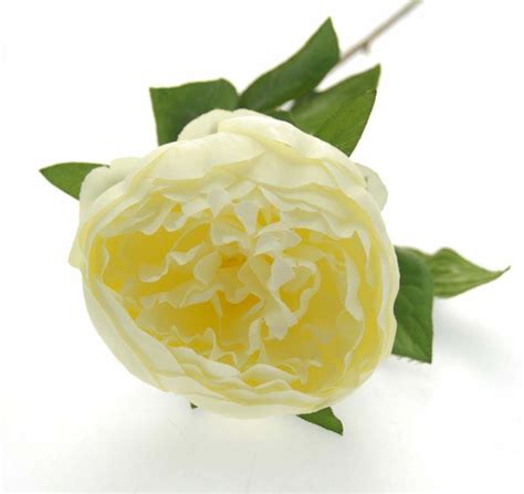 cream peony silk wedding flower sample sarah s flowers