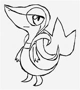 Snivy Delphox Pngkey Kindpng Eevee Riolu Evolutions sketch template