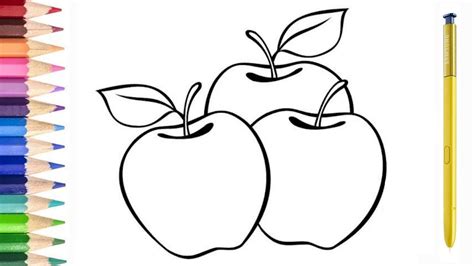 menggambar  mewarnai buah apel segar  anak youtube