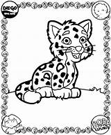 Coloriage Dora Dessin Tigre Imprimer Jaguar Ausmalbilder Mignon Kleurplaten Coloriages Colorier Kleurplaat Imprimir Mandala Animaatjes Gifgratis Malvorlagen1001 sketch template
