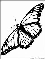 Coloring Monarch Pages Butterfly Popular sketch template