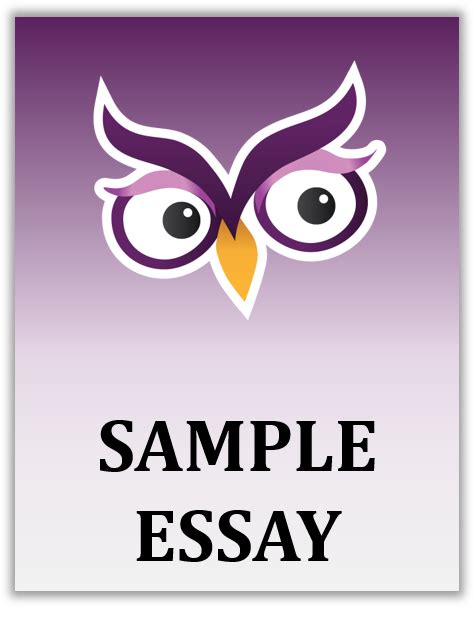 sample toulmin argument excelsior university owl