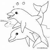 Dolphin Coloring Pages Print Kids Color sketch template