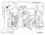 Habitat Coloring Pages Animal Color Getdrawings Forest sketch template