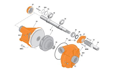 bzrms  berkeleypumpcatalogcom