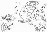 Fish Coloring Drawing Rainbow Reef Coral Getcolorings Scales Paintingvalley sketch template