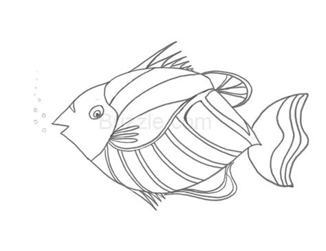 premium templates rainbow fish template fish coloring page