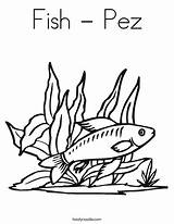 Coloring Fish Pez Print Ll sketch template