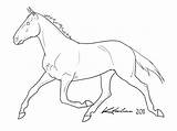 Lineart Standardbred Animal sketch template