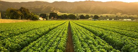 crops grow  fertile farm land panoramic  harvest ten  communications