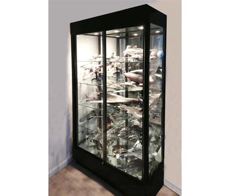 41 Contemporary Rectangle Tower Display Case With Mirror