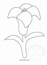 Easter Lily Template Coloring sketch template
