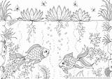 Garden Coloring Secret Colouring Pages Johanna Basford Theguardian Pdf Adult sketch template