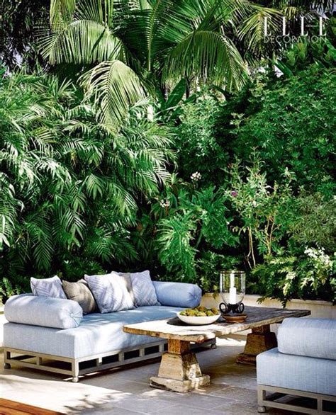 outdoors outdoor decor backyard outdoor living tropical patio