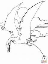Flugsaurier Rhamphorhynchus Ausmalbild Jurassic Zum Pterosaurs Zeichnen sketch template