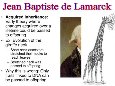 ppt lamarck powerpoint presentation free download id 2627802