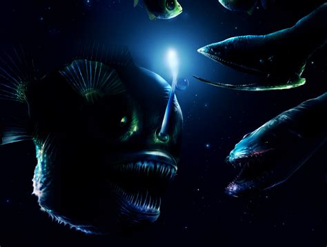 unknown mysterious deep sea monsters    discovered strange sounds