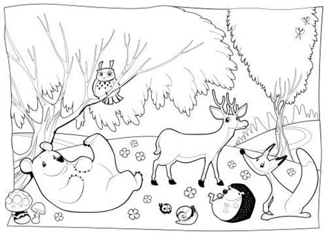 forest animals coloring pages animal coloring pages detailed