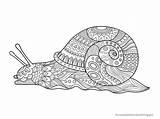 Snail Mandala Zentangle Gemischte Heruntergeladen Partie sketch template