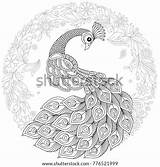 Peacock Coloring Zentangle Antistress Adult Style Shutterstock Stock Illustration Hand Preview sketch template