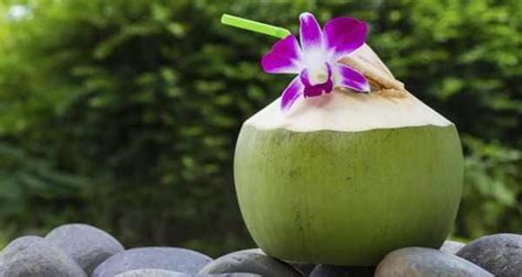 this is why pregnant women should have coconut water