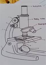 Microscope Compound Label sketch template