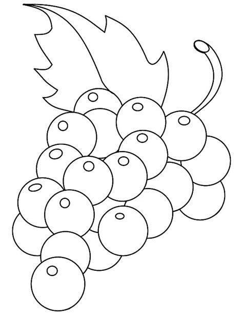 delicious fruit grapes coloring pages color luna