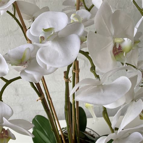 Artificial Large White Orchids In Glass Handcrafted Flowers