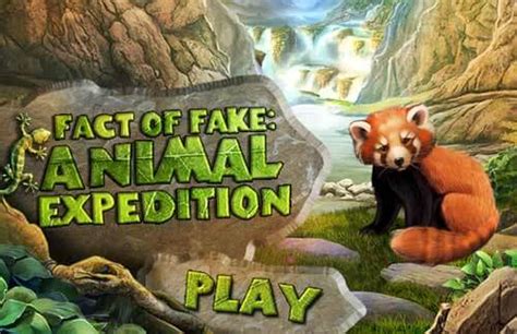 animal expedition  hiddenfuncom