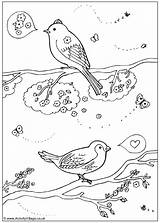 Birds Colouring Spring Coloring Pages Printable Print Bird Activity Seasons Village sketch template