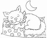 Sleeping Cat Coloring Pages Night Mouse 491f Printable Color Print Getcolorings Cats Sheet Printab sketch template