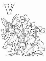 Pages Coloring Fairies Kleurplaten Fairy Feeën Voor Volwassenen Kleurplaatje Barker Cicely Mary sketch template