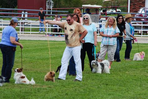 annual fun dog show   held  celebration show
