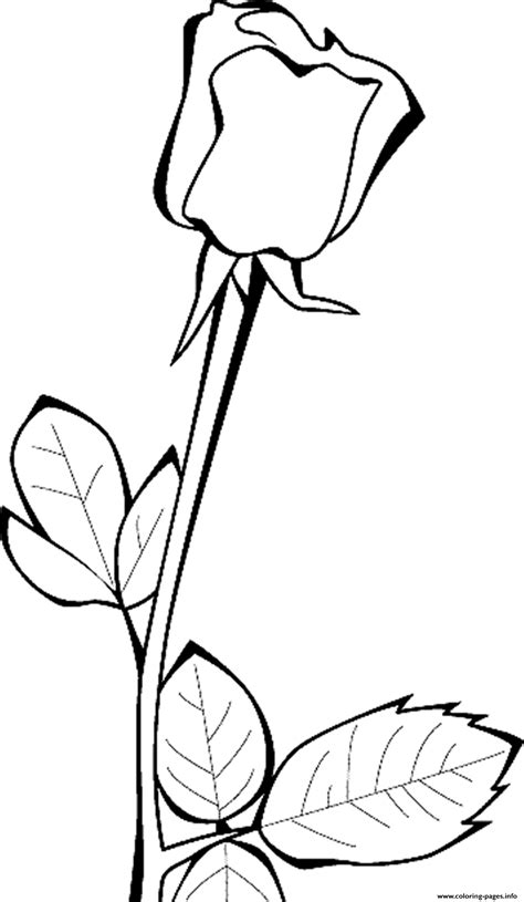rose coloring page rose coloring pages printable flower coloring pages