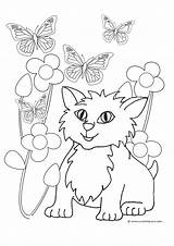 Summer Coloring Pages Kitten Butterflies Print Sheet Flower Clipartqueen sketch template