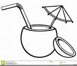 Coconut Drawing Drink Line Drawings Paintingvalley Clipart Clip Clker Large sketch template