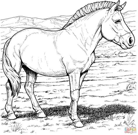 horse coloring pages   horse coloring horse coloring